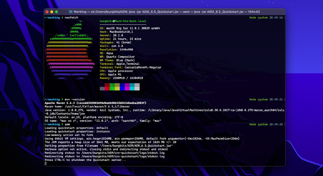 AEM Development on Apple Silicon