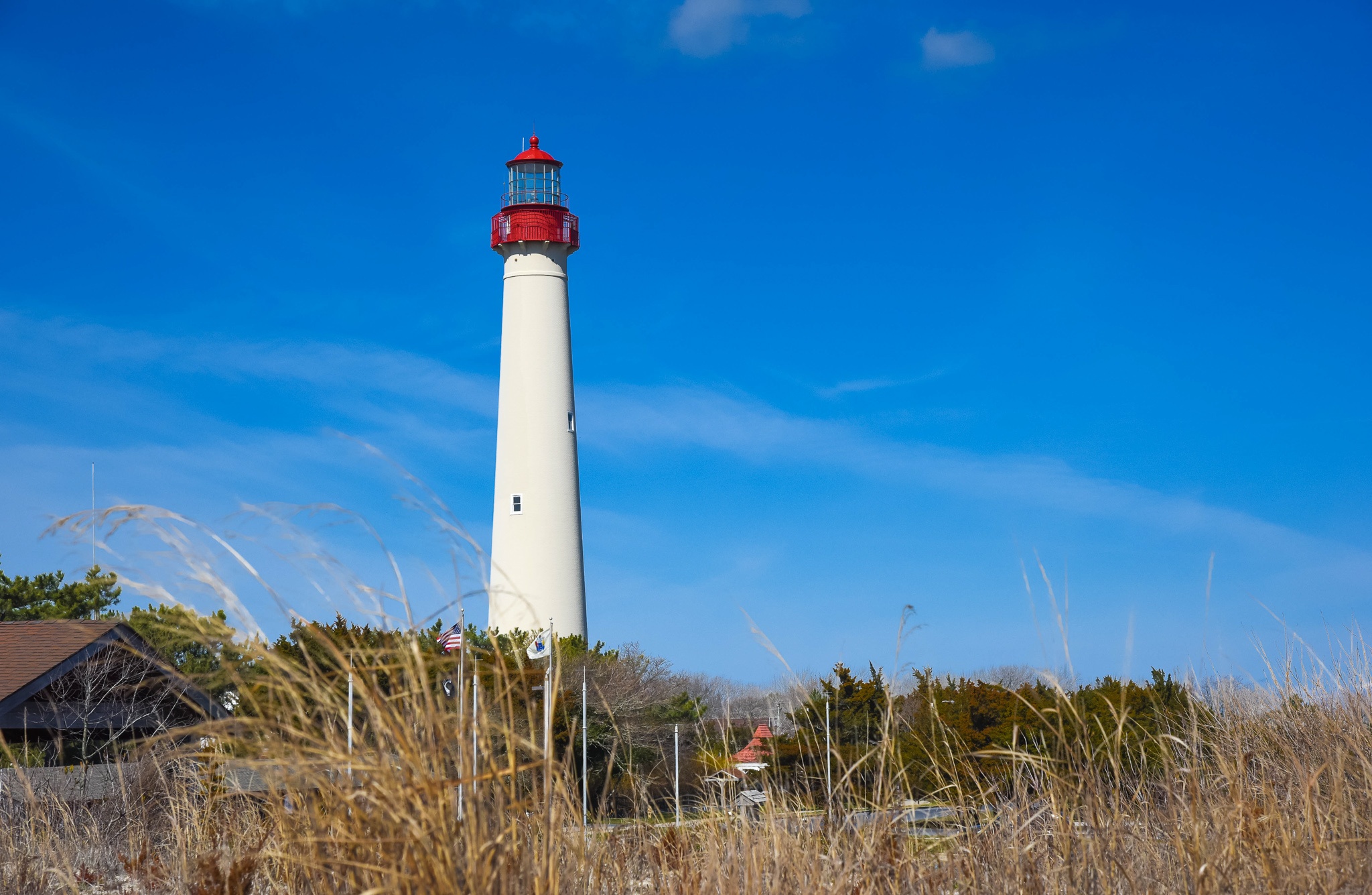 Lighthouse Scores